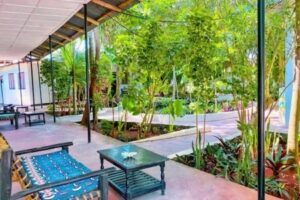 Papaya Guest House Nungwi