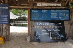 Lighthouse Guesthouse